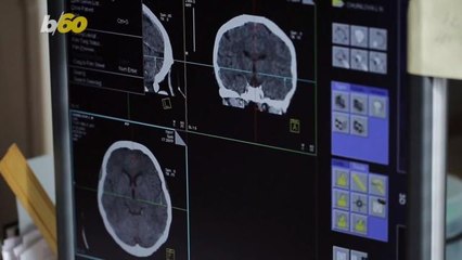 Things We've Already Discovered About the Brain This Year