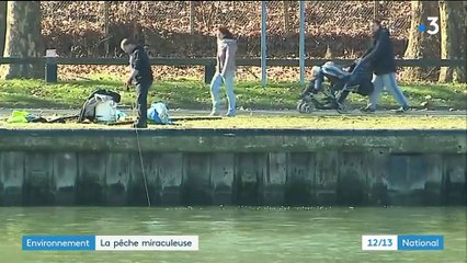 Essonne : quand des pêcheurs de métal nettoient la Seine