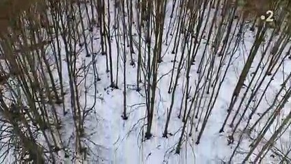 L'incroyable bug de France 2 hier soir en prime pendant la diffusion du documentaire "Le plus beau pays du monde"