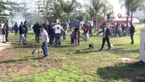Köpek Irk Standartları Türkiye Şampiyonası