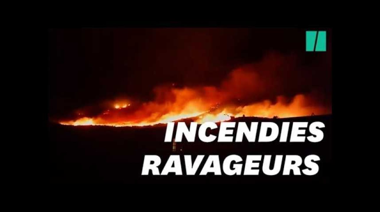 En Corse, des incendies ont ravagé Calenzana et le sud de l'île de Beauté