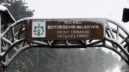 Kar yağışı etkili oluyor - KOCAELİ
