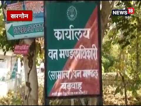 VIDEO: जंगल में फंसी नीलगाय, 2 घंटे की मशक्कत से किया रेस्क्यू- Forest guard rescued a neelgay from forest in khargone hydrs