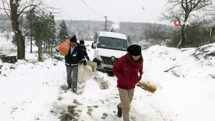 Kış şartlarından olumsuz etkilenen sokak hayvanlarına İBB’nin mama desteği sürüyor