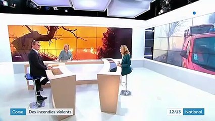 "On a eu peur" : la Corse en proie à de violents incendies, plus de 1 200 hectares ravagés