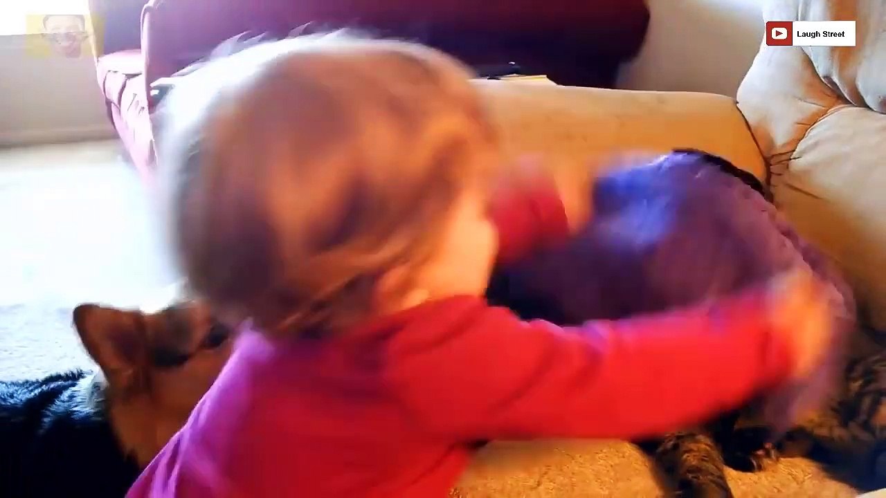 Cats vs kids