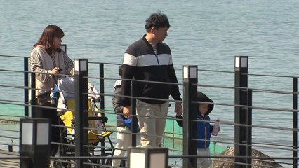 벌써 봄인가? 나들이객 북적 / YTN