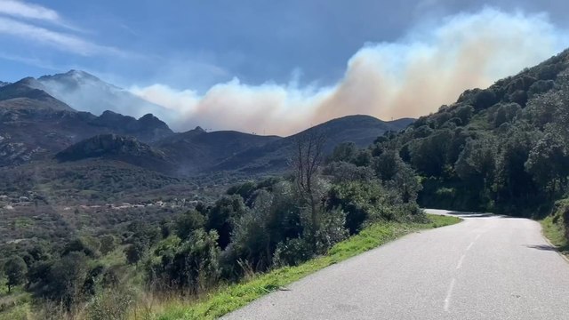 Les incendies en Corse, qui ont ravagé plus d'un millier d'hectares, ne sont pas encore maîtrisés