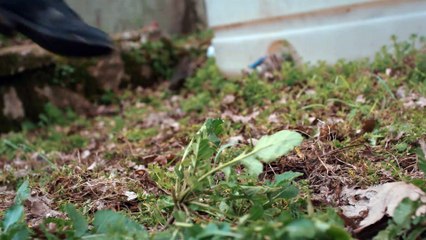 Söz | 71.Bölüm - Fragman 2