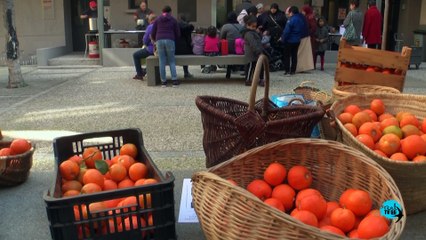 Fête des Oranger ass St Matthieu 2019