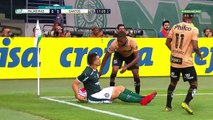 Palmeiras x Santos (Campeonato Paulista 2019 8ª rodada) 1º tempo