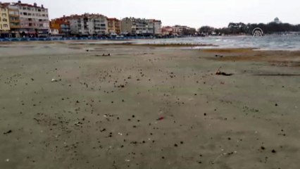 Deniz suyu 15 metre çekildi - TEKİRDAĞ