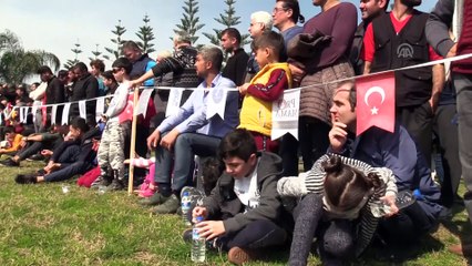 Milli takıma seçilecek yerli ırk köpekler için yarışma - ADANA