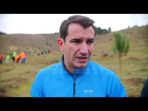 10 mijë fidanë të rinj, në parkun e Liqenit të Vaqarrit - Top Channel Albania - News - Lajme