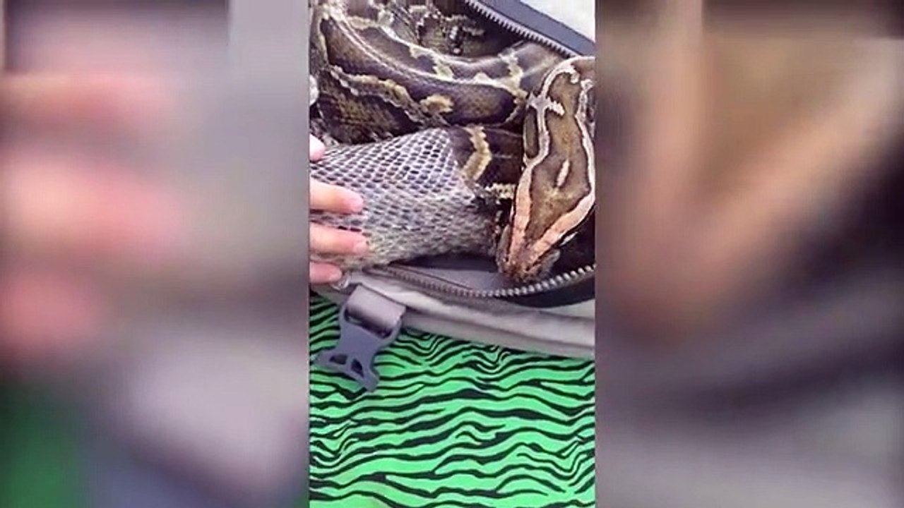Snake dress