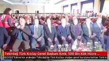 Tekirdağ Türk Kızılay Genel Başkanı Kınık: 500 Bin Kök Hücre Bağışçısına Ulaştık