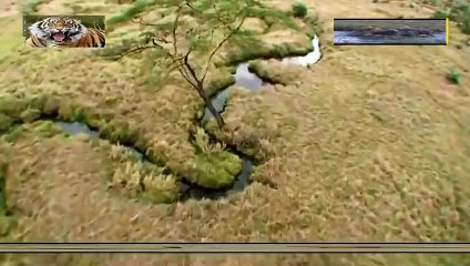 영동출장안마 -안전100%ョØ7Øw4178g3317《카톡DB600》영동전지역출장마사지영동출장ko안마sj영동출장마사지'오피걸ェエ출장만남섹시한관리사