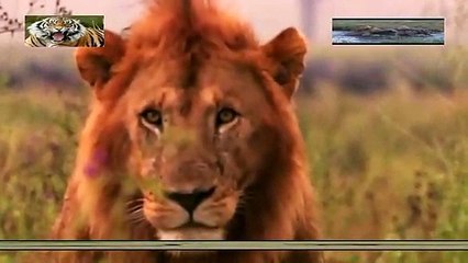 여수출장안마 -안전100%ョØ7Øs4178y3317【카톡GS666】여수전지역출장마사지여수출장ko안마sj여수출장마사지'오피걸スズ출장아가씨출장콜걸