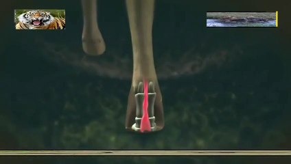 화천출장안마 -안전100%ョØ1Øa9528h0391『카톡WW900』화천전지역출장마사지화천출장ko안마sj화천출장마사지'오피걸∀∑ 출장안마후기출장맛사지