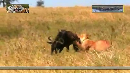 노원구출장안마 -안전100%ョØ1Øs9528g0391≪카톡GH600≫노원구전지역출장마사지노원구출장ko안마sj노원구출장마사지'오피걸§∥내상제로일본인출장