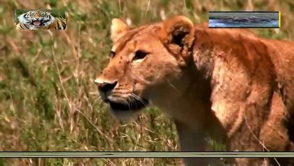 마포구출장안마 -안전100%ョØ7Øg4178g3317[카톡KB600]마포구전지역출장마사지마포구출장ko안마sj마포구출장마사지'오피걸φχ출장가격최강몸매