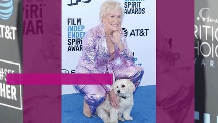 PHOTOS. Trop mignon ! Aux Spirit Awards, Glenn Close se fait voler la vedette par... son chien