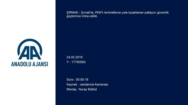 Yola tuzaklanan patlayıcı imha edildi - ŞIRNAK