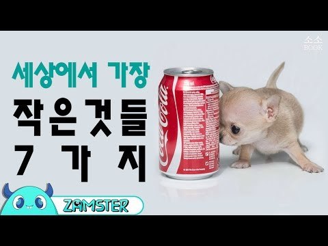 세상에서 가장 작은 것들 top7 [소소북 48회] #잼스터