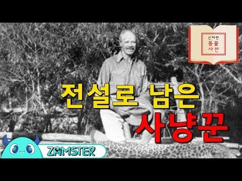 전설로 남은 사냥꾼 [신비한 동물사전 11회] #잼스터