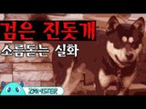 [공포] 검은 진돗개 [식은땀극장 16회] #잼스터