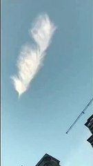 Un magnifique nuage en forme de feuille aperçu dans le ciel en Chine !