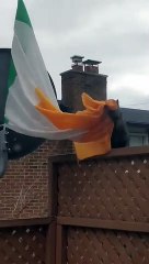 Download Video: Cet écureuil essaye de voler un drapeau Irlandais !