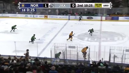 ECHL Norfolk Admirals 2 at Jacksonville Icemen 0
