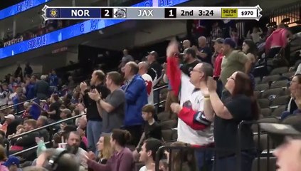 ECHL Norfolk Admirals 2 at Jacksonville Icemen 4