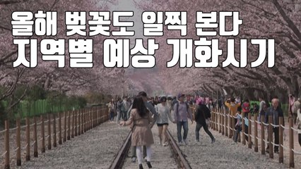 [자막뉴스] 올해 벚꽃 예년보다 일찍 본다...서울 4월 3일 개화 / YTN