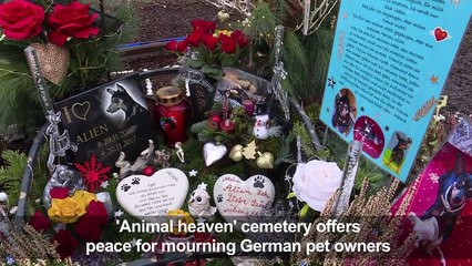 Burials and cremations for animals, a 'heaven' for pet owners