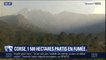 En Corse, 1500 hectares sont partis en fumée en 24h