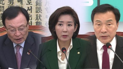 與 "통 큰 결단 기대" vs 野 "비핵화 우선" / YTN