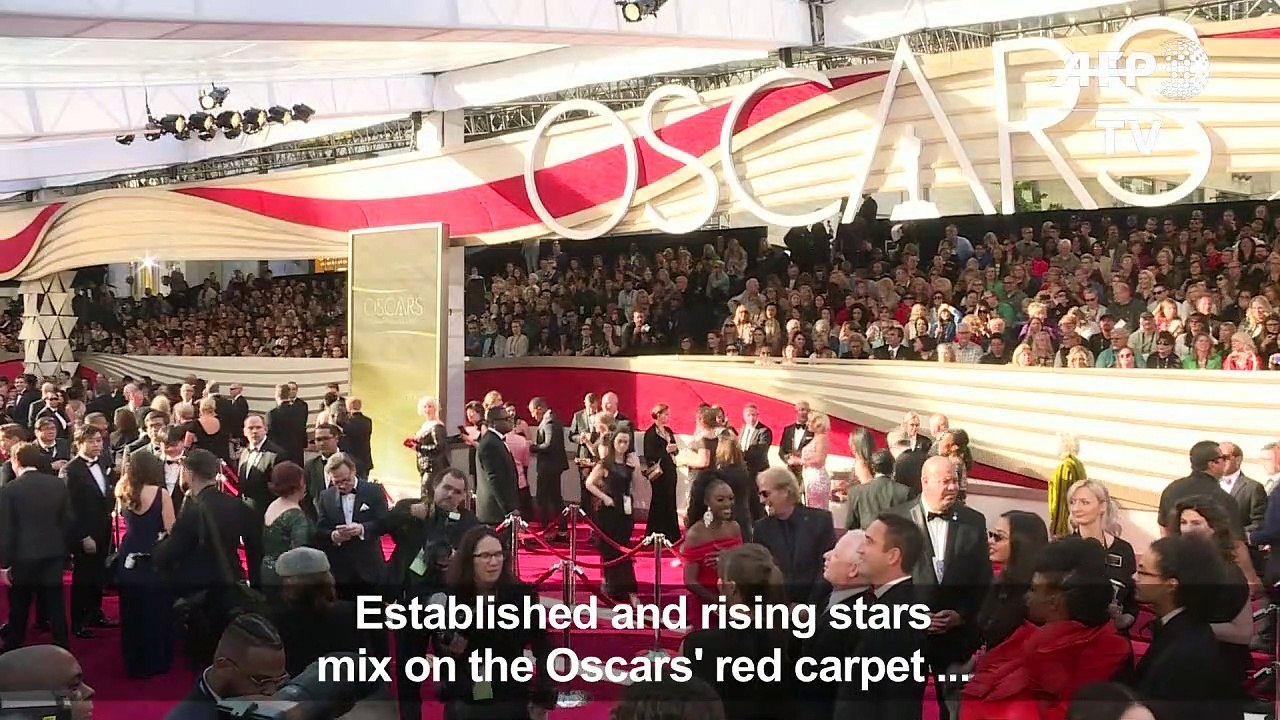 Hollywood A-listers hit the Oscars red carpet