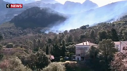 La corse en proie aux premiers incendies de l'année