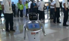 Dilo, Robot Pintar di Bandara Soekarno-Hatta