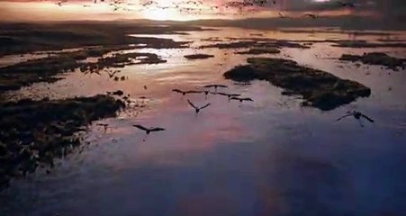 The Lion King TV Spot - Long Live the King (2019) JD McCrary Animated Movie HD