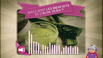 Quels sont les bienfaits de l’Aloe vera ?