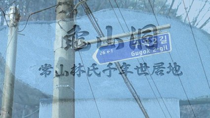 [단독] '사라진 거북이'...일제 왜곡 지명 2백여 개 방치 / YTN