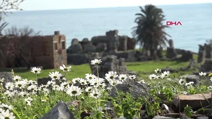 Mersin Antik Kent Üzerinde Paraşütlerin Dansı