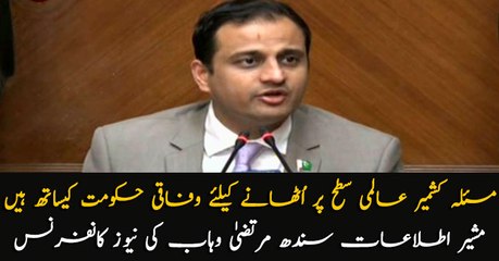 We are with federal government to take action globally on Kashmir issue: Murtaza Wahab