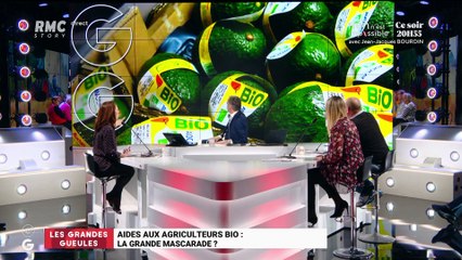 Les GG veulent savoir : Aides aux agriculteurs bio, la grande mascarade ? - 25/02