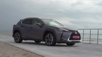 The new Lexus UX 250h Design in Grey