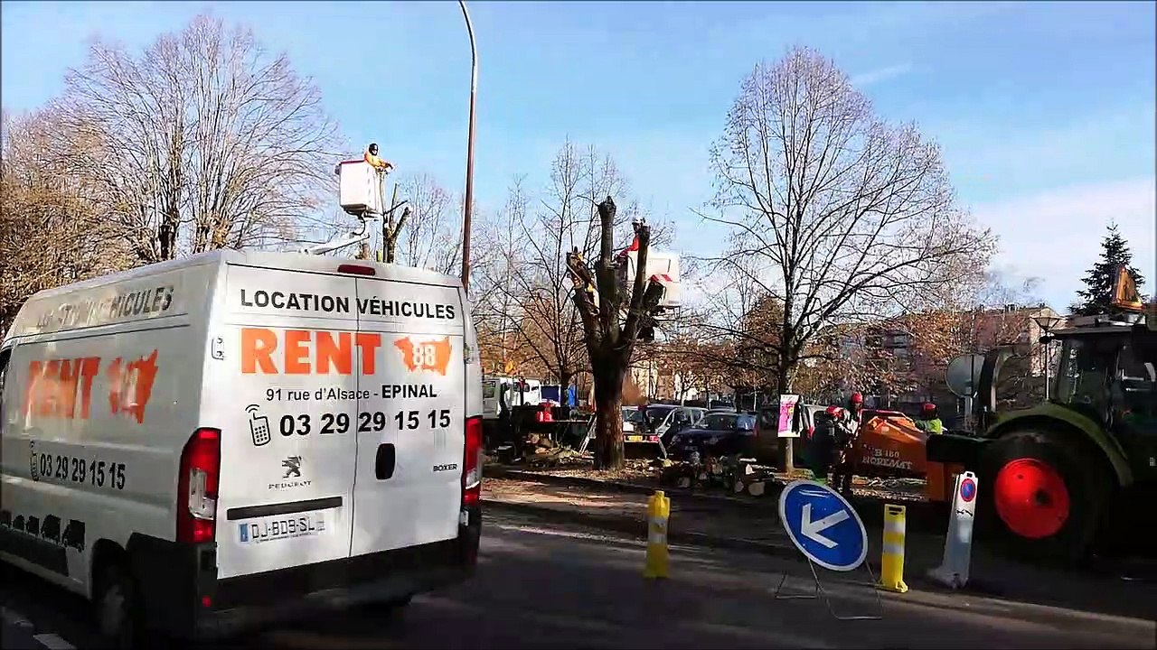 Épinal : une seule voie ouverte sur la rue de Nancy pour permettre l'abattage d'arbres