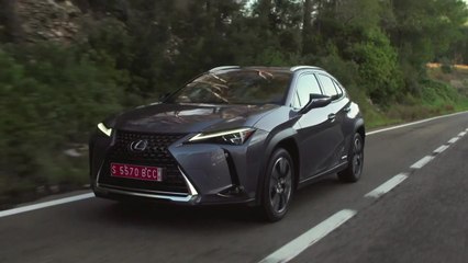 The new Lexus UX 250h in Grey Driving Video